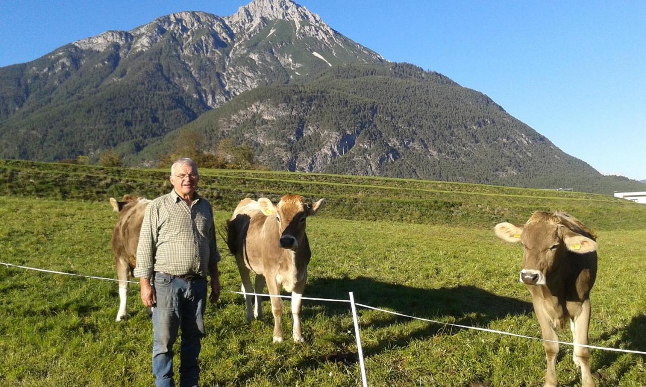 Ferienwohnungen Krismer Arzl im Pitztal Exteriör bild